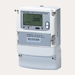 DTZY1976系列三相電子式多功能電能表